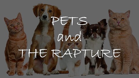 What will Happen to my pet during the Rapture?