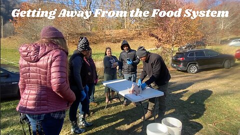 Feathers to Fellowship: Chicken Butchery and Community Building