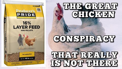 The Real Chicken Feed Conspiracy!