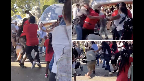 Wild Disneyland brawl erupts with kids, strollers caught in the middle