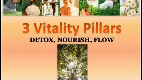 3 Vitality Pillars, Vitality Project, Vietnam