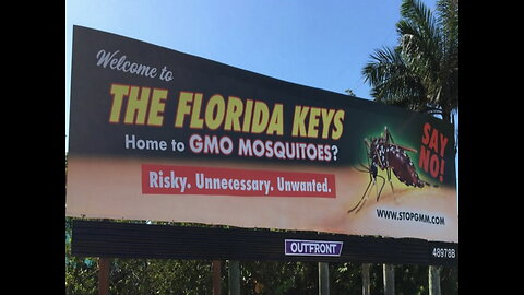 GMOsquitoes