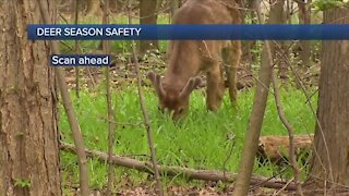 OSHP warns drivers of increased deer sightings