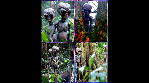 Funny Aliens TikTok Video - Alien Creatures 😂