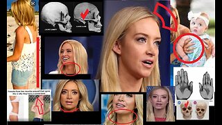 Mr. Kayleigh Mcenany