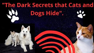 The Dark Secrets that Cats and Dogs Hide