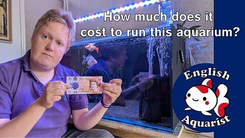 Electric costs of running this Goldfish aquarium? July 2023