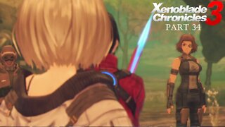The Great Sword Xenoblade Chronicles 3 Part 34