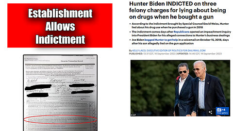 Hunter Biden Indicted On Three Felony Charges Related To Lying On 4473