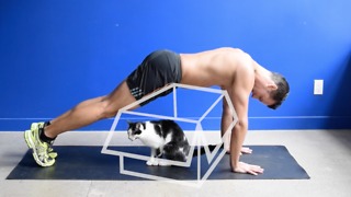 Here's What Cats Think About You Exercising