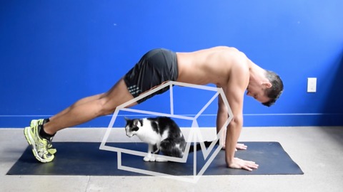 Here's What Cats Think About You Exercising