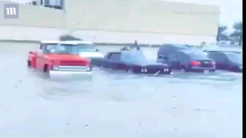 Emiratis cruising on Dubai flooded road #Habiba #Dubai #floods