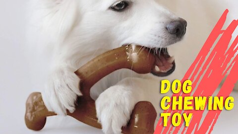 Dog Chew Toy for Aggressive Chewers.. Dog Toys