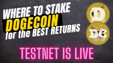 Where to stake your Dogecoin | Dogechain Testnet Live | DOGE HOLDERS MUST WATCH