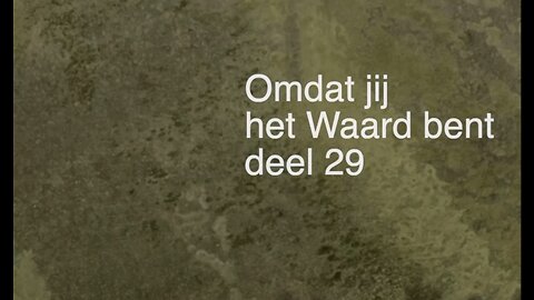 Omdat jij het Waard bent - deel 29 - Open Vizier