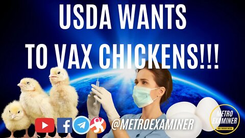 JAB for CHICKS...GOVERNMENT wants CHICKENS to GET VAXX