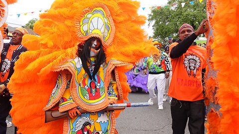 2023 Uptown Super Sunday: Celebrating the Vibrant Culture of New Orleans