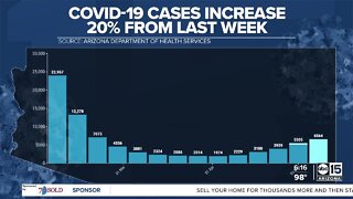 Latest report on COVID numbers in Arizona