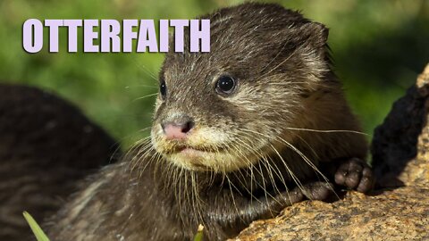 Otterfaith