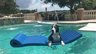 Laid Back Great Dane Relaxes On Pool Floatie & Enjoys Water Fountains