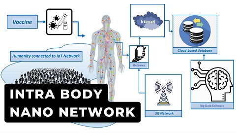 The Intra-Body Nano Network Explained in 90 seconds