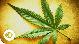 Did Big Business Make Cannabis Illegal?