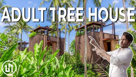 Luxury Treehouses That Will Make You Jealous