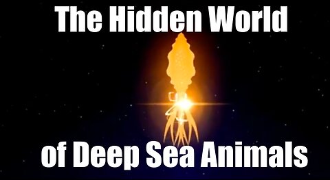 Unveiling the Hidden World of Deep Sea Animals