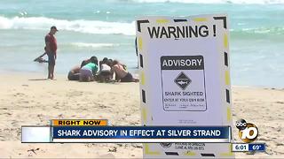 Shark Advisory in effect in Silver Strand