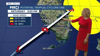 FORECAST: Heavier Rain and Gusty Winds Arriving Tonight