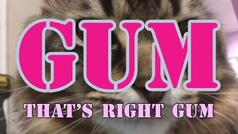 GUM - Its what Lives in My Garage - Its also What My Kids Like to Chew - GUM