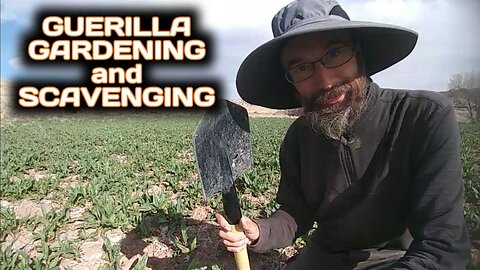 Guerilla Gardening and Scavenging
