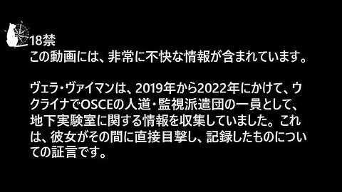 ウクライナOSCE派遣団の証言 民族主義者の大隊は地下実験室を持っていた Testimony of OSCE in Ukraine Пусть мама услышит 2023/06/01