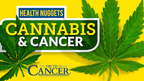 The Truth About Cancer: Health Nugget 7- Cannabis & Cancer
