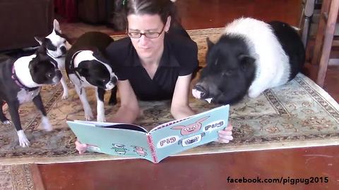 Pets gather around owner for story time