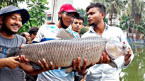 হিংস্র মাছটিকে আয়ত্তে আনতে চার হাত বড়শী বদল হয়ে উঠলো বিশাল ব্ল্যাক কার্প😱Black Karp Hunting