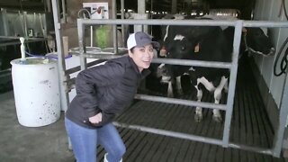National AG Week: Inside the Milking Parlor at Phillips Family Farm