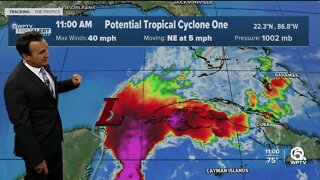 Potential Tropical Cyclone One, 11 a.m., June 2, 2022