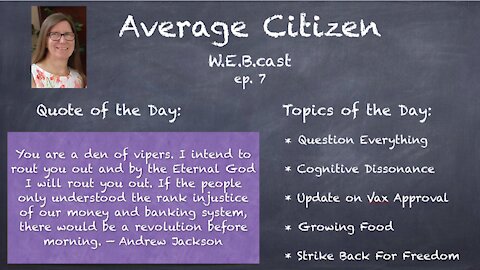 8-26-21 ### Average Citizen W.E.B.cast Episode 7