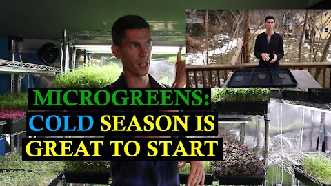 Microgreens: Cold Season Is a Great Time to Start!