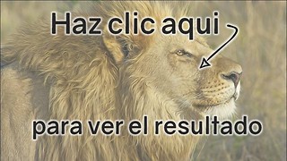 Trivia de Animales: Puntuación baja