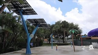 FPL touts solar trees during National Clean Energy Week