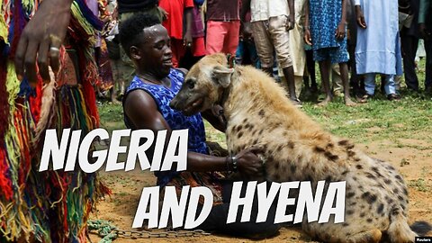 Budaya Memelihara Hyena di Nigeria, Warisan Leluhur yang Hampir Punah