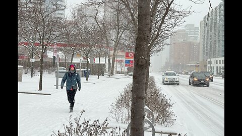 Toronto Snowfall - North York Walk - February 15, 2024