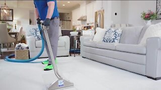 No Residue Carpet Cleaning // Zerorez Denver