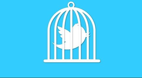 Twitter VP of Trust & Safety resigns during censorship controversy