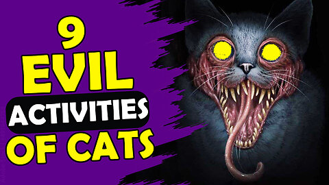 9 Evilest Activities your Cats Do (#5 is Most Common)