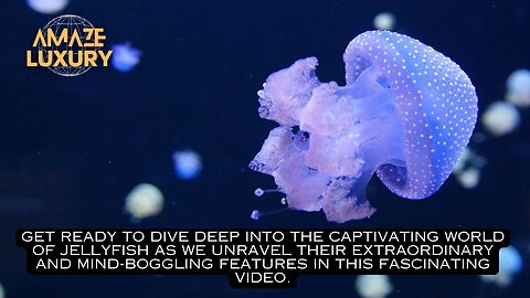 Jellyfish: The Brainless Wonders
