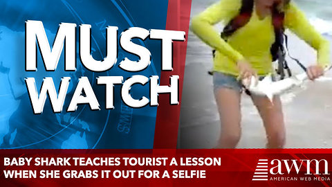 Baby Shark Teaches Tourist A Lesson When She Grabs It Out For A Selfie