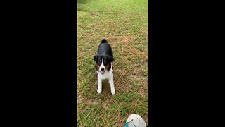 Baxter loves Soccer